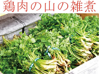 201101-01.jpg