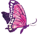 201102-02.gif